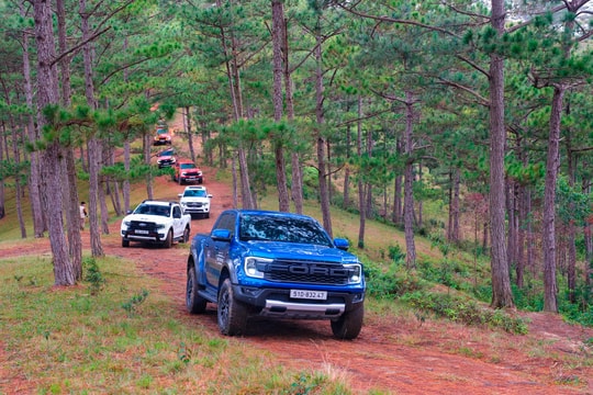 Ford Việt Nam bán ra 42.175 xe trong năm 2024