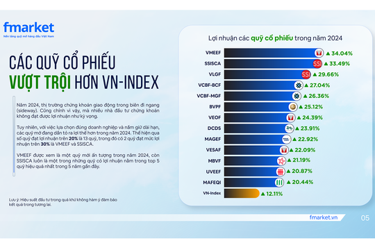 Các quỹ mở “làm ăn” thế nào trong năm 2024?