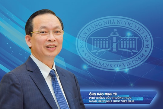 Phó Thống đốc Thường trực Đào Minh Tú: Tiếp tục các giải pháp tín dụng phù hợp, góp phần thúc đẩy tăng trưởng kinh tế năm 2025