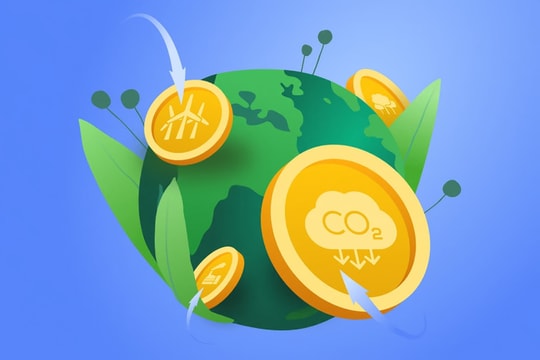 Thị trường tín chỉ carbon tại Việt Nam