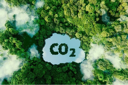 Thí điểm thị trường carbon tại Việt Nam ngay trong năm 2025