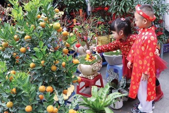 Diễn biến giá hàng hóa những ngày giáp Tết Nguyên đán Ất Tỵ 2025: Đào, chuối xanh tăng giá