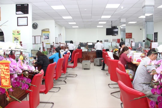 Agribank An Giang góp sức phát triển kinh tế địa phương