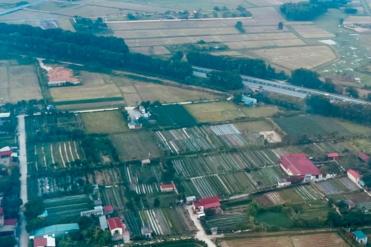 Hà Nội giao hơn 11.300 m2 đất cho huyện Đông Anh xây dựng hạ tầng khu đấu giá đất