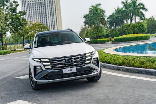TC GROUP bán ra 3.074 xe trong tháng 1/2025