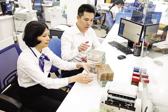 Tín dụng bất động sản Ngân hàng khu vực 12 chiếm 16,2% tổng dư nợ