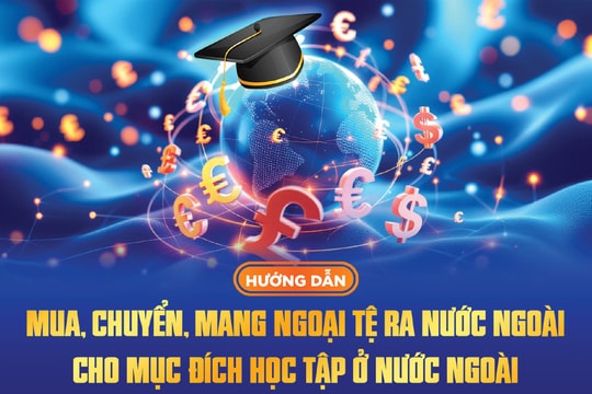 Hướng dẫn mua, chuyển, mang ngoại tệ ra nước ngoài cho mục đích học tập