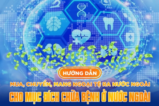 Hướng dẫn mua, chuyển, mang ngoại tệ ra nước ngoài cho mục đích chữa bệnh ở nước ngoài