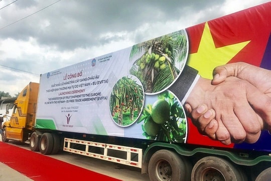 5 năm thực hiện EVFTA: Làm gì để tối ưu hóa lợi ích từ EVFTA?