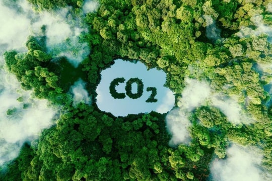 Đánh giá mức độ sẵn sàng chi trả cho giảm phát thải khí CO2 tại Việt Nam