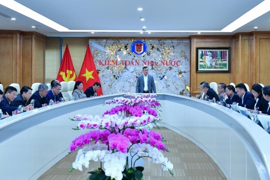 Kiểm toán nhà nước: Kiểm toán chuyên đề phải đánh giá và tư vấn chính sách