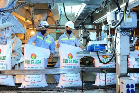 Cơ hội "bứt tốc" cho Đạm Cà Mau trước hàng loạt lực đẩy mới
