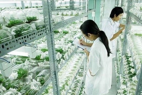 Quy chế hoạt động của Khu Công nghệ cao sinh học Hà Nội
