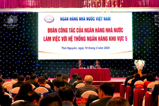 Ngân hàng Nhà nước làm việc với hệ thống ngân hàng Khu vực 5