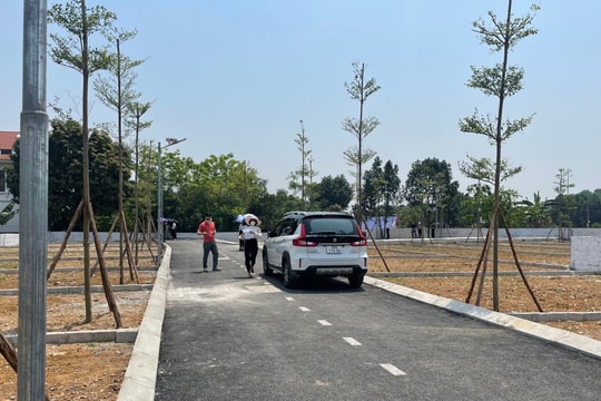 Đất nền Hòa Lạc nổi sóng đầu năm 2025
