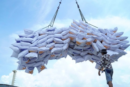 Thu hẹp khoảng cách với gạo Thái Lan và Ấn Độ, giá gạo Việt Nam trên đà phục hồi?