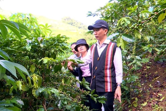 Kon Tum: Tín dụng chính sách góp lực giảm nghèo trên vùng cao biên giới Đăk Glei