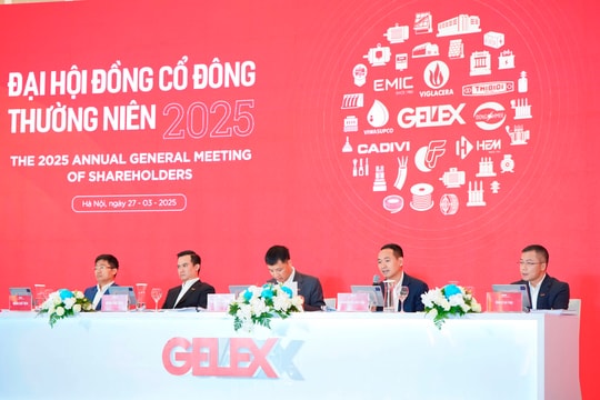 CEO GELEX Nguyễn Văn Tuấn: Đầu tư vào Eximbank không phải phát triển hệ sinh thái, không có nhu cầu tham gia ban điều hành