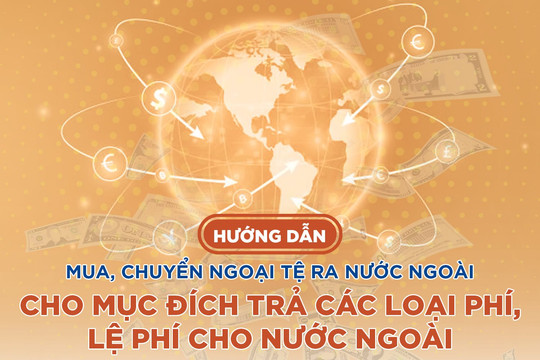 Hướng dẫn mua, chuyển ngoại tệ ra nước ngoài cho mục đích trả các loại phí, lệ phí cho nước ngoài