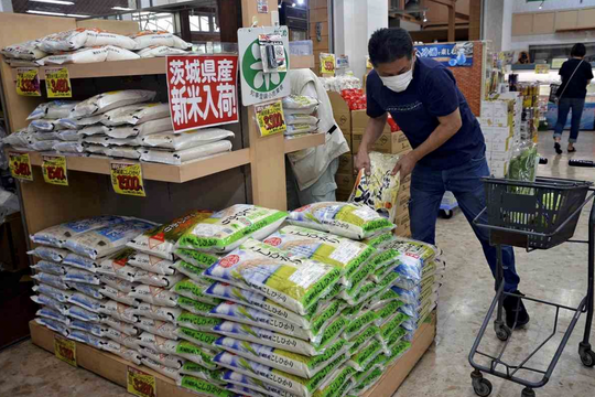 Giá gạo tại Tokyo tăng vọt 90%, CPI cốt lõi tháng 3 tăng 2,4%