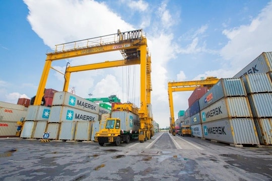 Viconship đặt kế hoạch lợi nhuận năm 2025 "đi lùi" 42%, chia cổ tức tỷ lệ 10%