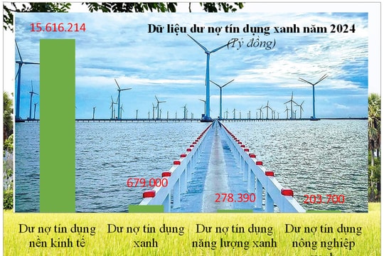 Nguồn lực quan trọng cho các mục tiêu “tăng trưởng xanh”