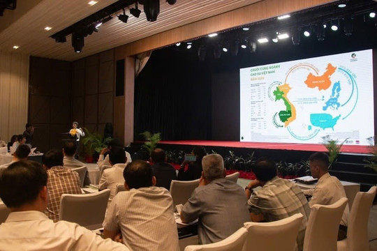 Làm sạch chuỗi cung ứng cao su thiên nhiên trước yêu cầu truy xuất nguồn gốc