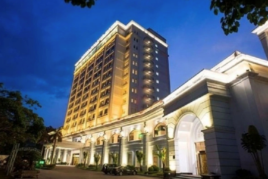 Doanh thu của RIC đạt hơn 133 tỷ đồng năm 2024, tăng trưởng 20%