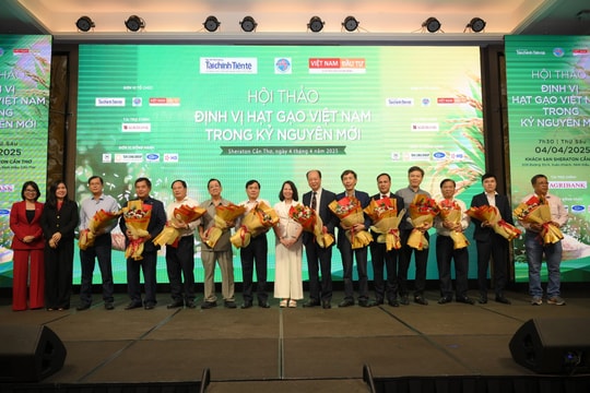 Toàn cảnh hội thảo Định vị hạt gạo Việt Nam vươn mình trong kỷ nguyên mới tại Cần Thơ