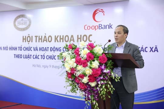 Định vị Co-opBank và Quỹ tín dụng Nhân dân là hoạt động tài chính vi mô