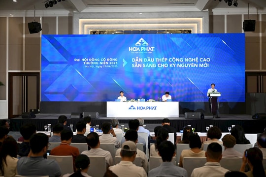 Vẫn còn nhiều dự định với "át chủ bài" thép, Hòa Phát có mở rộng mảng bất động sản và nông nghiệp?