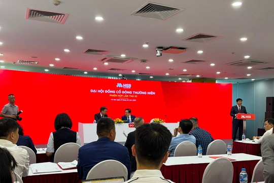 ĐHĐCĐ MSB: Chia cổ tức 20%, đang đàm phán với 2-3 đối tác bán TNEX Finance