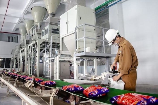 Hóa Chất Đức Giang báo lãi quý I tăng 19%, có hơn 11.000 tỷ đồng gửi ngân hàng
