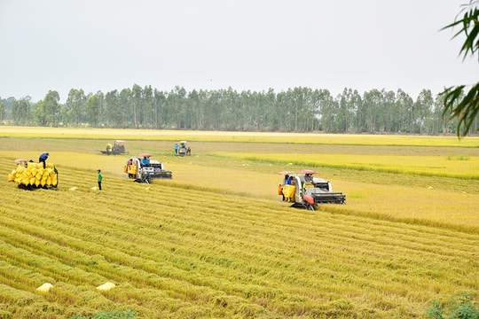 Agribank Chi nhánh An Giang: Dồn lực “dòng chảy” tín dụng chuyển đổi xanh tạo động lực tăng trưởng kinh tế bền vững