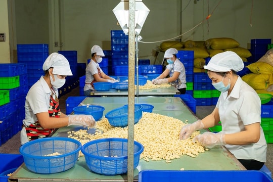 Tín dụng lĩnh vực thương mại, dịch vụ ngành Ngân hàng Khu vực 12 chiếm 63,4% tổng dư nợ