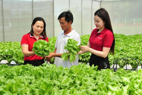 Nguồn vốn Agribank thúc đẩy kinh tế tư nhân phát huy vai trò trụ cột quan trọng của nền kinh tế