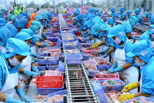 Trung Quốc dẫn đầu các nước nhập thủy sản Việt Nam