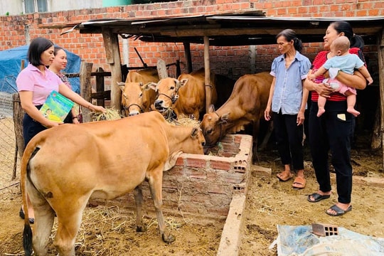 Gia Lai: Tín dụng chính sách giúp người dân Ayun Pa thoát nghèo, làm giàu