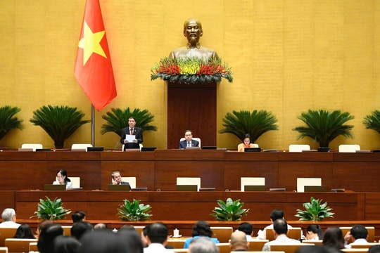 Cân nhắc kéo dài thời gian miễn thuế đối với lĩnh vực phát triển công nghệ cao, chuyển đổi số