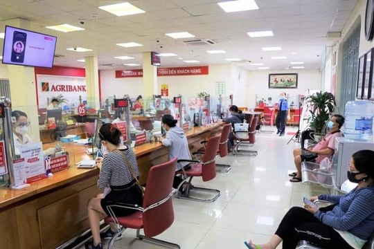 Agribank An Giang: Giảm lãi suất, cho vay tín chấp với doanh nghiệp tư nhân