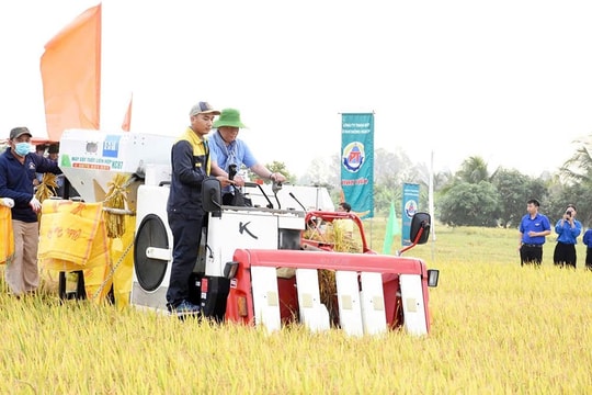 Tín dụng xuất khẩu ngành Ngân hàng Khu vực 15: Tiếp sức doanh nghiệp đẩy mạnh xuất khẩu