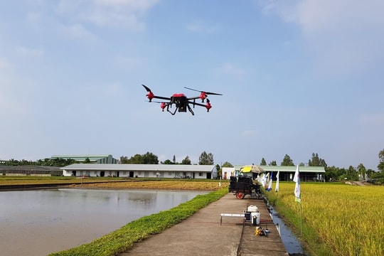 Tín dụng ngân hàng thúc đẩy phát triển nông nghiệp sạch, hiện đại hóa sản xuất tại An Giang