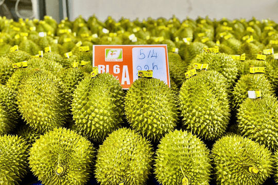 Xây dựng ngành hàng sầu riêng bền vững: Từ tăng trưởng “nóng” đến chiến lược phát triển có kiểm soát
