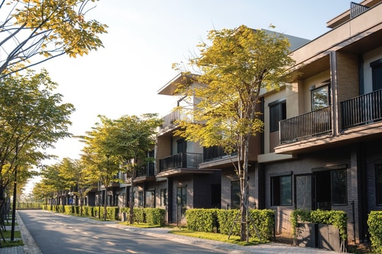 Tổ ấm Izumi City: Nốt nhạc tinh tế giữa bản giao hưởng kinh tế vùng sôi động
