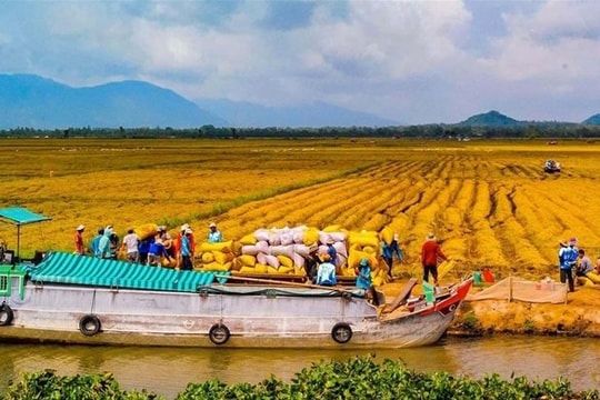 Tín dụng ngân hàng “bệ phóng” phát triển kinh tế theo hướng bền vững ở tỉnh Đồng Tháp