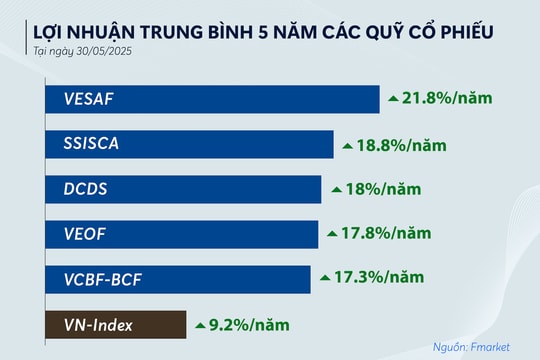 Các quỹ đầu tư có lỡ sóng hồi phục của thị trường?