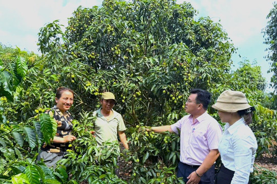 Dấu ấn tín dụng chính sách trên hành trình giảm nghèo, xây dựng nông thôn mới ở Ea Kar