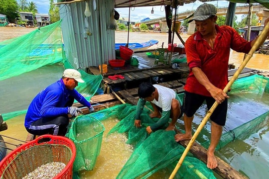 Cánh tay nối dài đưa vốn chính sách đến dân