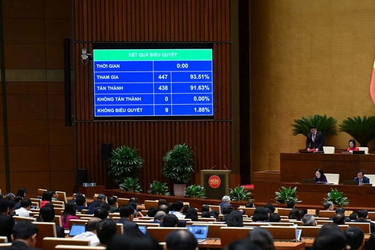 Thông qua việc thành lập Trung tâm tài chính quốc tế tại Việt Nam: Có cơ chế đặc thù về tài chính - ngân hàng