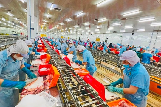 Ngân hàng đẩy mạnh cho vay xuất khẩu trên địa bàn tỉnh An Giang
